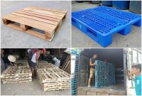 So sánh pallet nhựa và pallet gỗ: nên chọn pallet nào bảo quản hàng hóa tốt hơn?