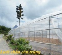 Lưới bao che côn trùng dùng bảo vệ cho cây trồng loại 200 lỗ