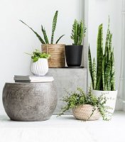 Tìm hiểu chậu Composite là gì?  Chậu Composite có ưu điểm gì?