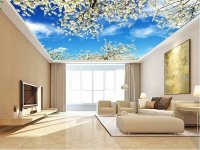 Thi công trần xuyên sáng Barrisol giá rẻ tại Hà Nội