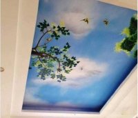 So sách các loại trần xuyên sáng tại thị trường Việt Nam