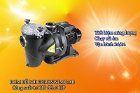 Báo giá máy bơm hồ bơi Euroswim thương hiệu DAB Ý 2018