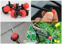 Hệ thống tưới nhỏ giọt cho cây bưởi, cách làm hệ thống tưới nhỏ giọt