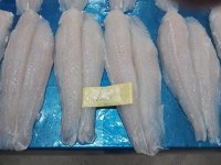 Mua phụ gia cho cá basa fillet ở đâu uy tín?