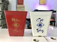 Nơi bán chậu nhựa trồng cây uy tín với chi phí phù hợp cho mọi nhà