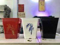 Tư vấn chọn mua chậu nhựa trồng cây phù hợp