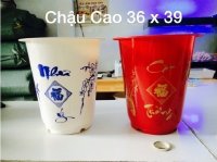 Lợi ích khi mua chậu nhựa trồng cây