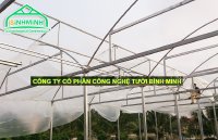 Cung cấp màng nhà kính 5 lớp Israel - Đại lý cung cấp màng Israel tại miền Bắc