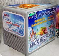 Có nên mua tủ đông đã qua sử dụng không?