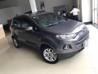 Vì sao Ford EcoSport được người dùng ưa chuộng