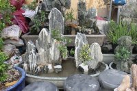 Tại sao nên thiết kế tiểu cảnh sân vườn cho quán cà phê?
