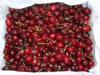 Quả Cherry có tác dụng gì?