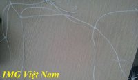 Lưới leo giàn cho cây thân leo màu trắng