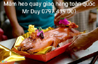 Cung cấp mâm heo quay và hỗ trợ giao hàng toàn quốc