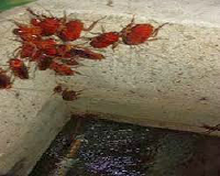 Dịch vụ rửa bể nước ngầm tại Hà Nội