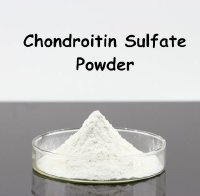 Chondroitin Sulfate - Hoạt chất kỳ diệu cho người bệnh xương khớp