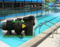 Điểm danh 5 hồ bơi công cộng ở Sài Gòn bạn không thể bỏ qua