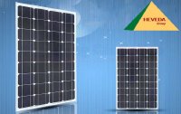 Nên mua tấm pin năng lượng mặt trời giá rẻ tại đâu?