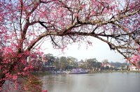 Hồ Xuân Hương – Điểm nhấn đặc sắc của Đà Lạt