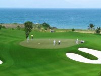 Vì đâu lại có luật golf trên green? Luật golf trên green bao gồm các điều luật gì?