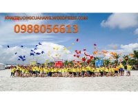 Tìm hiểu những chương trình cần tổ chức team building