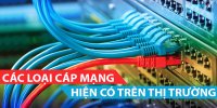 Các loại dây cáp mạng phổ biến trên thì trường hiện nay