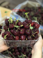 Mua hộp nhựa có lỗ đựng 1kg trái cây