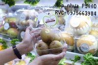 Hộp nhựa đựng 500g trái cây P500D