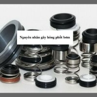 Nguyên nhân gây hỏng phốt bơm