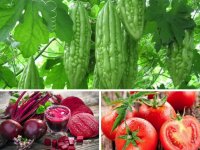 Người mắc bệnh tiểu đường ăn gì?