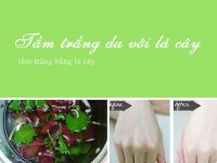 Da trắng rạng ngời chỉ trong 1 tuần nếu dùng lá tía tô để tắm đúng cách