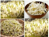 Công dụng tuyệt vời của giá đổ, bạn đã biết chưa?
