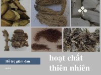 Hoạt chất thiên nhiên tốt cho việc giảm đau