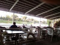Thiếu kinh nghiệm khi mở quán cà phê, việc thiết kế không gian nên tự làm hay đi thuê ngoài sẽ tốt hơn ?