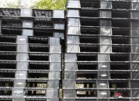 Có nên mua pallet nhựa Hà Nội