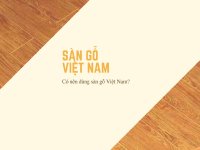 Có nên dùng sàn gỗ Việt Nam?