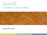 Sàn gỗ công nghiệp có điểm gì khác với sàn gỗ tự nhiên