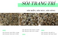 Sỏi trang trí - kinh doanh sỏi trang trí