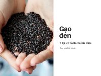 9 lợi ích tuyệt vời của gạo đen mà bạn chưa biết!