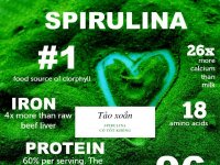 Tác dụng của tảo xoắn Spirulina