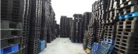 So sánh tấm Pallet nhựa và Pallet gỗ truyền thống