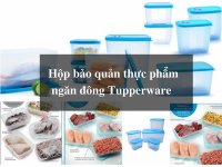 Hộp bảo quản thực phẩm ngăn đông Tupperware 