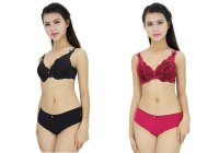 Giới thiệu bộ đồ lót ren đẹp dịu dàng nữ tính – Viena 1007