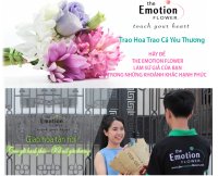 Giới thiệu Shop hoa tươi The Emotion Flower TPHCM