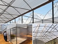Lưới chắn côn trùng nông nghiệp hỗ trợ ngăn chặn sâu bệnh và sự tác động của điều kiện tự nhiên đến cây trồng