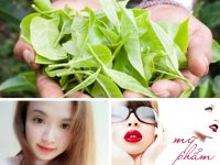 4 bước làm sữa rửa mặt dưỡng da từ lá trà xanh