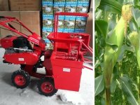 Máy thu hoạch ngô mini giá rẻ