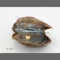 Lợi ích từ Ngọc Trai