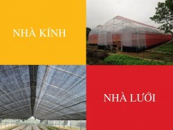 So sánh nhà lưới và nhà kính