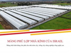 Màng phủ lợp nhà kính của Israel